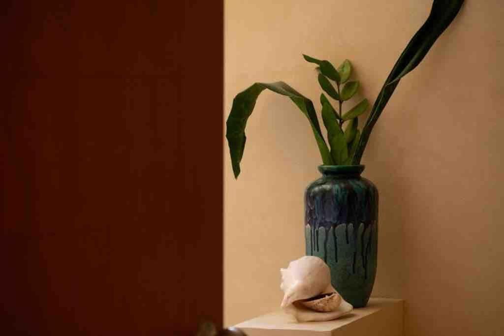 Disfruta En La Casa De Lola / Enjoy At Lolas House Прогресо Екстериор снимка